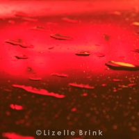 Water drops reflection