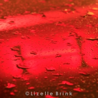 Water drops reflection