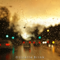 Street lights in rain