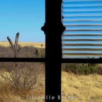 Free State farm landscape