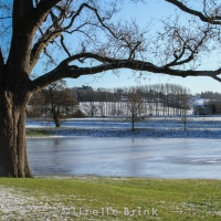 Iced over lake in the UK