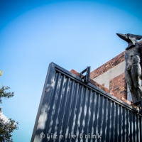 Arts on Main