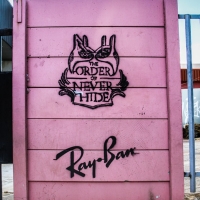 Ray Ban Wall