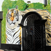 StreetArt-8968.jpg