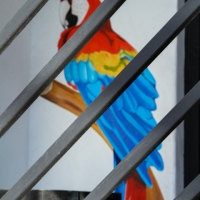 StreetArt-8971.jpg