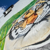 StreetArt-8973.jpg