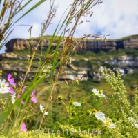 Landscape of Clarence in the Free State