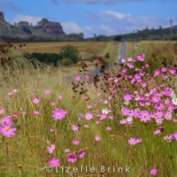 Landscape of Clarence in the Free State