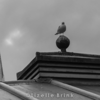 LDN2013-17.jpg