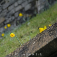 LDN2013-29.jpg