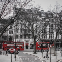 LDN2013-3.jpg