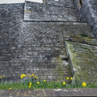 LDN2013-30.jpg