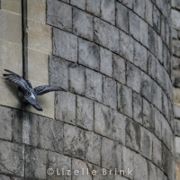 LDN2013-31.jpg