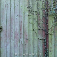 LDN2013-33.jpg