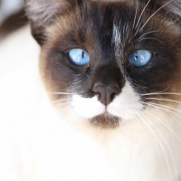 Lucy