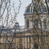 paris13-18.jpg