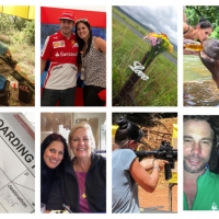 Thank you 2013 collage