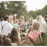 Protea wedding