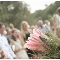 Protea wedding
