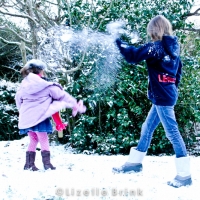 Snow Fight