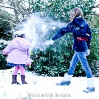 Snow Fight