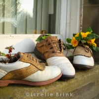 Ladies golf clubhouse shoe flower pot