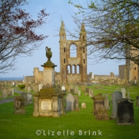 St Andrews Abbey