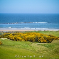 Kingsbarn Links Golf Course